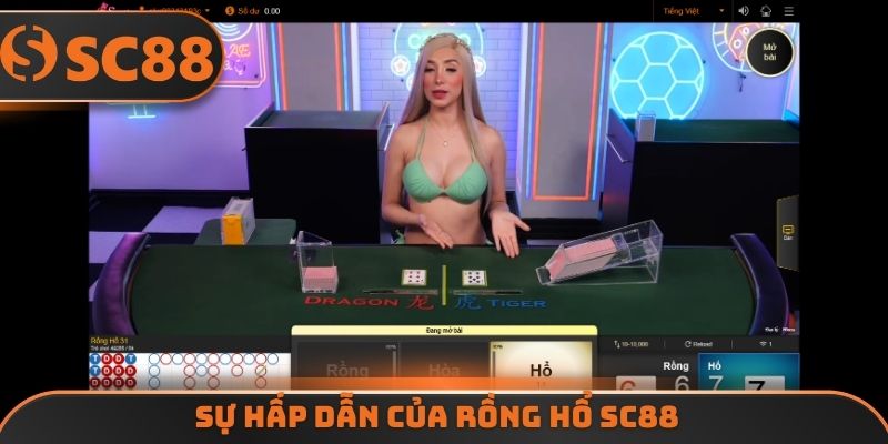 Sự hấp dẫn của rồng hổ SC88